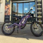 SURRON LIGHT BEE 2018