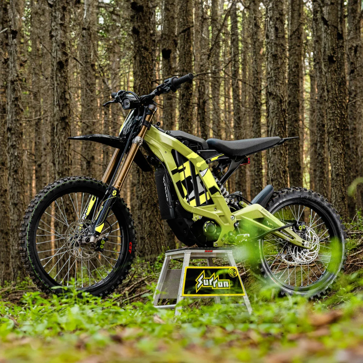 Surron 2021(light bee x) - Image 4
