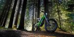 Surron 2021(light bee x) - Image 3